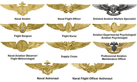 Us Navy Rank Insignia, Us Navy Aviation, Us Navy Uniform, Aviation Tattoo, Navy Insignia, Navy Ranks, Navy Badges, Military Awards, Naval Aviator