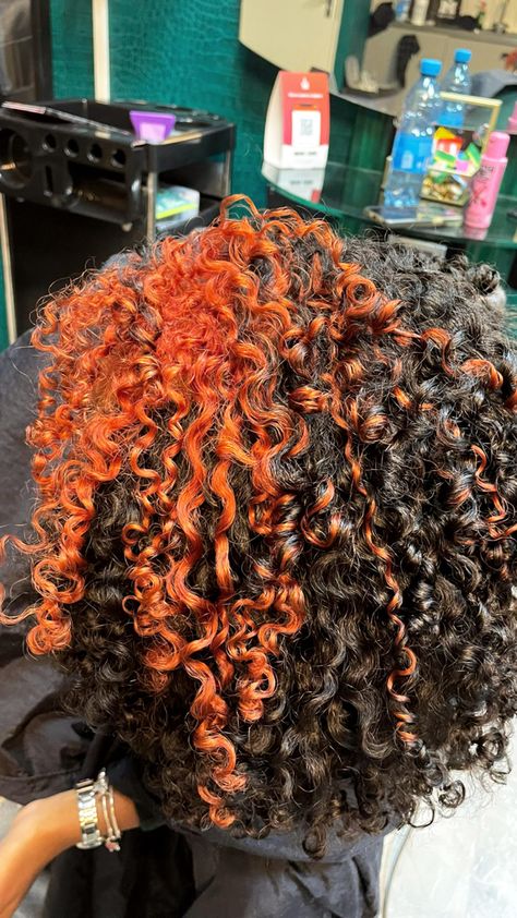 way to fineeee Natural Colors To Dye Hair, Dyed Curly Hair Black Women, Ways To Dye Your Hair Ideas, Ways To Dye Your Hair, Natural Hair Journey Tips, Hair Journey Tips, Bob Hair Color, Dyed Curly Hair, Dyed Hair Inspiration