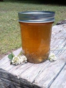 White clover. Yes, the kind that is covering your yard. It makes a phenomenal jelly that tastes like honey. Here is a simple recipe to make white clover jelly. Makes 5 half pint jars.   2 heap... Clover Jelly Recipe, Rosehip Jelly, Clover Jelly, Jelly Homemade, Teas Recipes, Flower Jelly, Food Canning, Food Foraging, Foraging Recipes