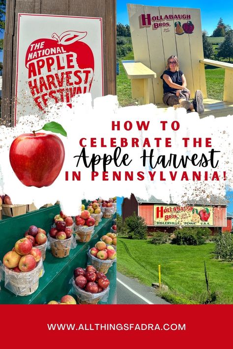 6 Fun Ways to Celebrate Apple Harvest Season in Pennsylvania Pit Beef, Pumpkin Bread Pudding, Apple Strudel, Vanilla Sauce, Apple Dumplings, Pennsylvania Travel, Corn Maze, Apple Fritters, Local Brewery