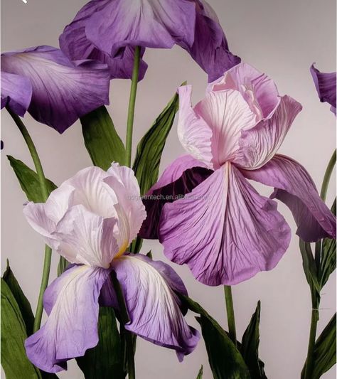 Giant Silk Flowers Diy, Giant Artificial Flowers, Iris Paper Flower, Crepe Paper Iris, Giant Crepe Flowers, Giant Foam Flowers Diy, Giant Crepe Paper Flowers, Eva Foam Flowers, Paper Iris