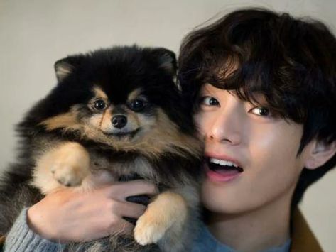 tae x yeontan Taehyung Bf Material, V Yeontan, Maturing Is Realizing, Jins Birthday, Kim Yeontan, Bts Dogs, Bangtan Wallpapers, Bt 21, Jimin Cute