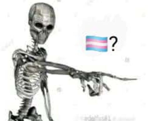 Skeleton, Flag, Pink, Blue