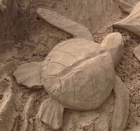 Turtle Sand Sculpture, Sea Turtle Sand Sculpture, Beach Sand Castles, Sand Sculpture, Sand Castles, Sand Sculptures, South Padre Island, Rail Car, Turtle Art