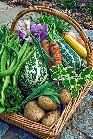 Green Country, Bountiful Harvest, Have Inspiration, Garden Fountains, Slow Food, Organic Vegetables, Fruit And Veg, Edible Garden, Farmer's Market