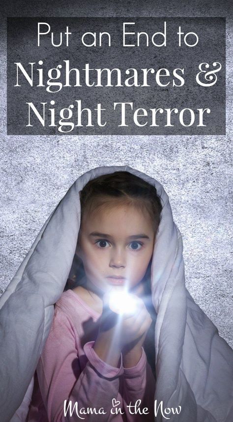 Learn how to put an end to your child's nightmares and night terrors. In this article, a childhood sleep expert shares tips to create habits that promote sound sleep. These are must have tips for parents with children who have nightmares and night terrors! Try these great parenting hacks today. #parenting #sleep #nightmares #motherhood #kids #dreams Bedtime Tips, Communication Strategies, Create Habits, Toddler Bedtime, Night Terrors, Newborn Sleep Schedule, Parenting Blogs, Family Resources, Nightmare Night