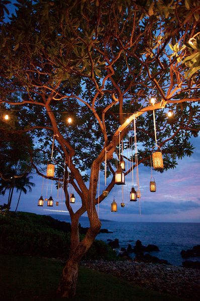 Metal Lantern Decor Ideas, Tree Lanterns Hanging, Lanterns In Trees, Lantern Decor Wedding, Tree Lanterns, Backyard Trees, Outdoor Trees, Dream Wedding Venues, Midnight Garden