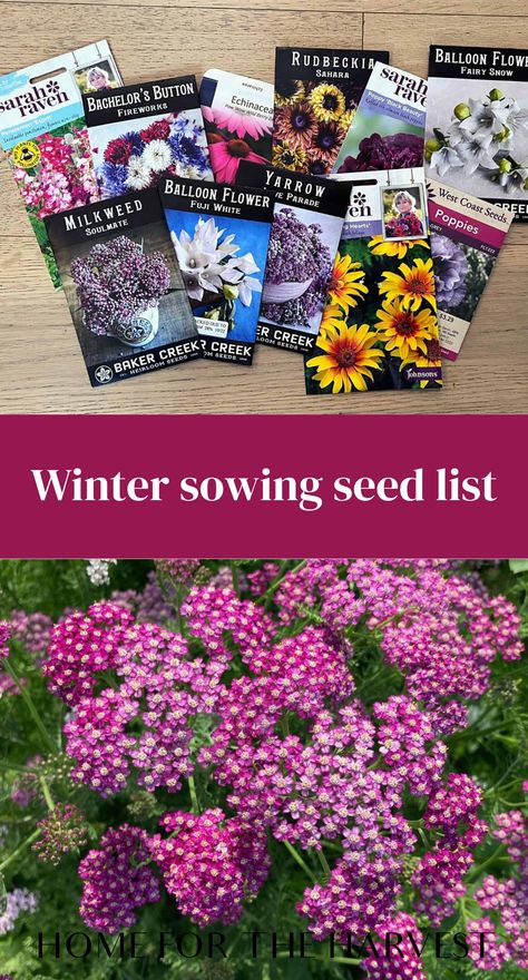 Winter sowing seed list Winter Sowing Seeds Zone 6, Flower Seeds To Plant In Fall, Seeds To Plant In Fall, Planting Flower Seeds, Winter Sowing Seeds, Fall Planting Perennials, Hardy Annuals, Planting Flowers From Seeds, Plant Parenting