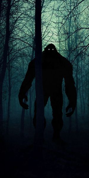 Monster In Forest, Monster Forest, Monster Silhouette, Forest Monster, Horror Forest, Silhouette Forest, Band Drawing, Night Silhouette, Bigfoot Pictures