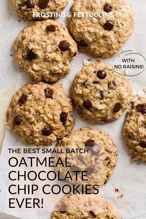 Chocate Chip Cookies, Easy Oatmeal Chocolate Chip Cookies, Best Oatmeal Chocolate Chip Cookies, Small Batch Chocolate Chip Cookies, Small Batch Cookie Recipe, Oat Chocolate Chip Cookies, Oat Cookie Recipe, The Best Oatmeal, Small Batch Cookies