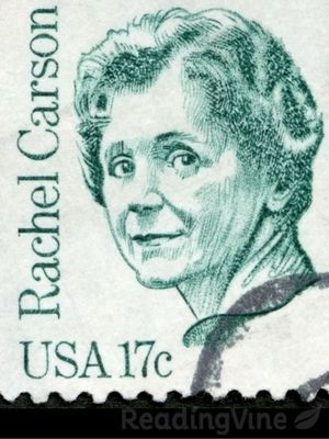 Comprehension 3rd Grade, Rachel Carlson, Postage Stamps Usa, Improve Reading Skills, Usa Stamps, Rachel Carson, Environmental Movement, Rare Stamps, Reading Comprehension Activities