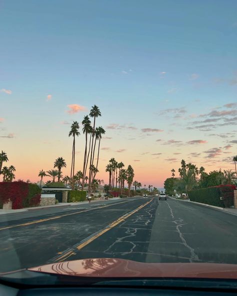 much needed Vacation in Palm Springs, California Palm Springs Aesthetic, Palm Springs California, Sunset Aesthetic, Spring Aesthetic, Much Needed, Palm Springs, Springs, Vision Board, California