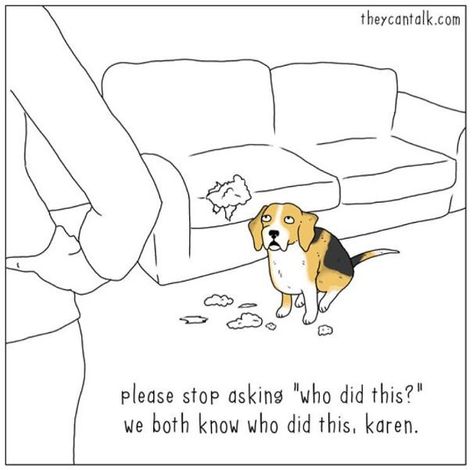 40 Comics Reveal What Animals Would Say If They Could Talk (New Pics) Karen Memes, Dog Funnies, Dog Cartoons, 4 Panel Life, Animal Comics, Dog Comics, Talking Animals, Dog Humor, Cat Comics