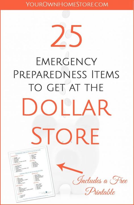 Emergency Preparedness Items, Emergency Preparedness Food Storage, Family Emergency Binder, Emergency Binder, Emergency Prepardness, Emergency Preparedness Kit, Family Emergency, Emergency Preparation, Emergency Plan