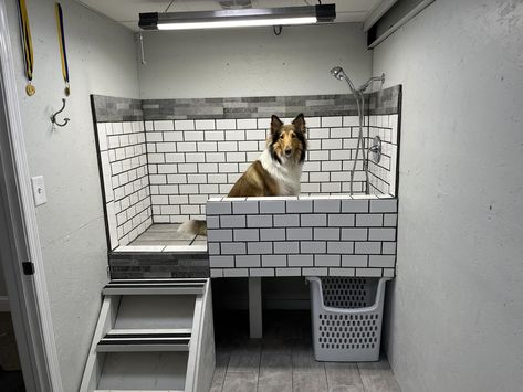 Built In Dog Bath, Elevated Dog Washing Station, Dog Shower In Garage, Dog Bathing Station, Dog Tub, Wash Station, Washing Station, Dog Washing Station, Laundry Room Closet