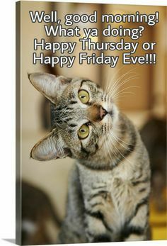 Thrilling Thursday, Happy Thursday Pictures, Thursday Morning Quotes, Happy Thursday Morning, Good Morning Sister Quotes, Good Morning Animals, Thursday Humor, Good Morning Happy Thursday, Good Morning Sister