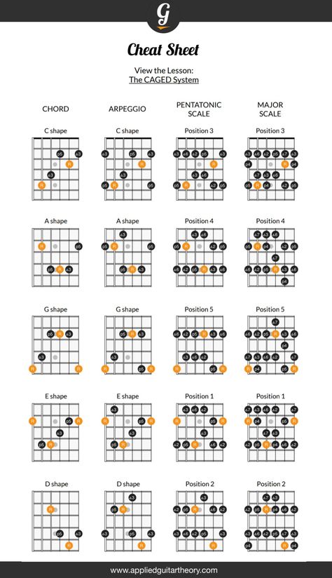 Guitar Fingerpicking Patterns, Guitar Scales Charts, Guitar Chords And Scales, Acoustic Guitar Chords, Guitar Theory, Electric Guitar Lessons, Tenor Guitar, Music Theory Lessons, Basic Guitar Lessons