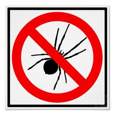 I suggest a NO SPIDERS sign for the hacienda. Natural Spider Repellant, Spider Repellent, Spider Killer, Spiders Repellent, Spider Control, Diy Spider, Get Rid Of Spiders, Kill Ants, Flea Prevention