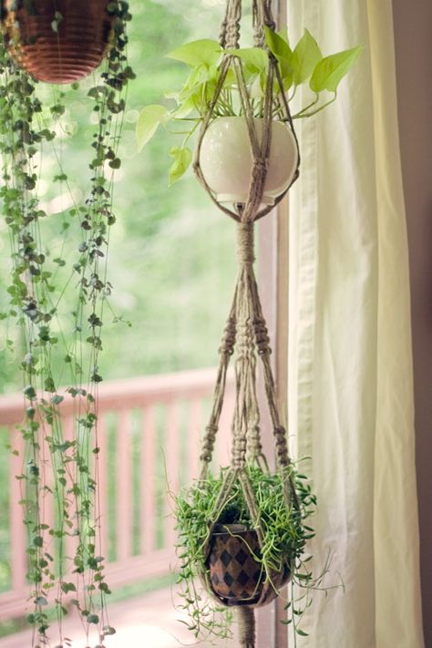 Macrame plant hangers for a Bohemian look Indoor Forest, Macrame Plant Hanger Tutorial, Diy Plant Hanger, Have Inspiration, Plant Hangers, Macrame Plant Hangers, Macrame Ideas, Cactus Y Suculentas, Deco Floral