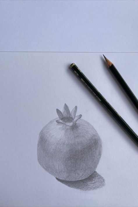 Pomegranate Drawing, Art Beginners, Still Life Drawing, Drawing Pencil, Life Drawing, Pencil Drawing, Drawing Art, Pomegranate, Pencil Drawings