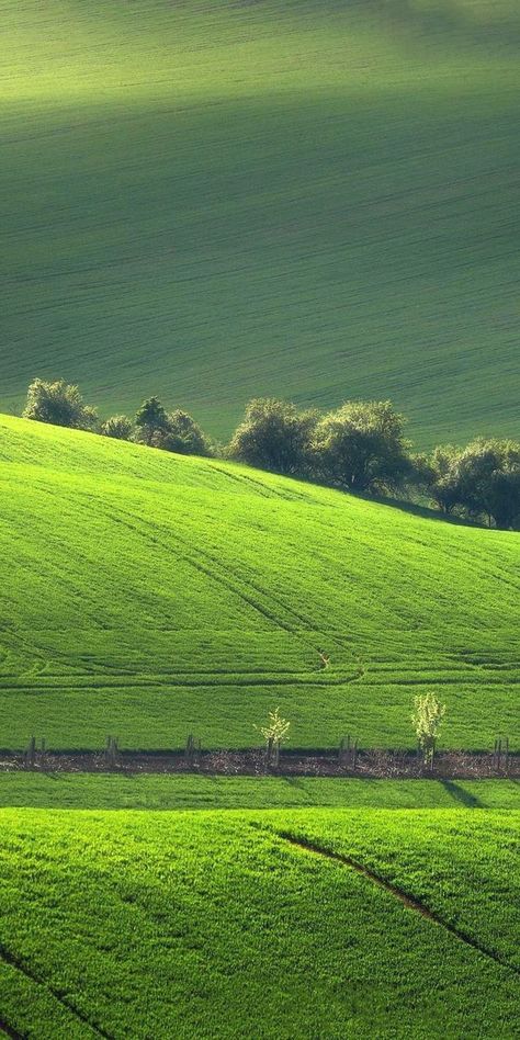 Green Aesthetic Background Landscape, Green Nature Aesthetic Wallpaper, Landscape Green Aesthetic, Green Wallpaper Scenery, Green Nature Aesthetic, Green Scenery Wallpaper Nature, Cool Pictures For Wallpaper, Green Pictures, Scenery Background