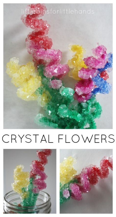 Crystal Flowers Activity Spring Science Crystal Growing Borax Pipe Cleaners Spring Science Experiments, Spring Science, Borax Crystals, Spring Activity, Growing Crystals, How To Make Crystals, Mother's Day Activities, Experiments Kids, Science Crafts