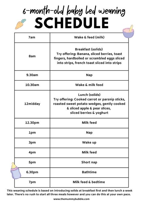 Baby Lead Weaning 4 Month, Baby Led Weaning Schedule, Baby Solid Food Schedule, Weaning Schedule, 6 Month Baby Pictures, Baby Eating Schedule, 7 Month Old Baby Food, Baby Weaning Foods, Uppfostra Barn