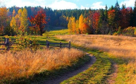 The World Quotes, Sky Walk, Forest Falls, Autumn Sky, Fall Landscape Photography, Colorful Mountains, World Quotes, Landscape Photography Nature, Fall Watercolor