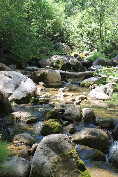 Forest Creek, River Rocks, Boulder Creek, Rocky River, Stone Photography, Swimming Pond, River Photography, River Stones, Forest River