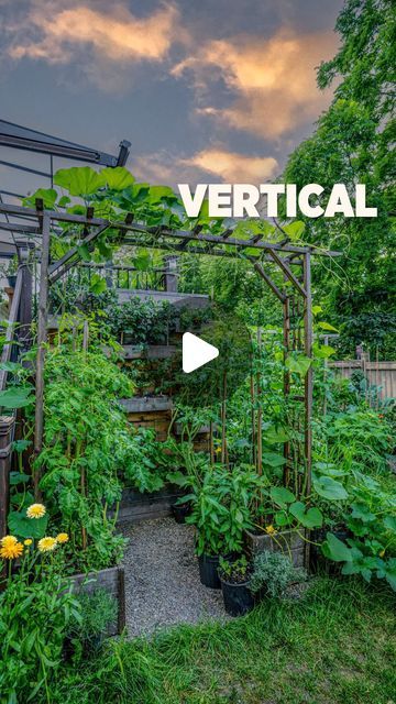 Growing Tomatoes Vertically, Grow Tomatoes Vertically, Vertical Cantaloupe Garden, Grow Vertically, Rooftop Garden Urban, Greenstalk Vertical Planter, Micro Garden, Rooftop Deck, Starting A Garden