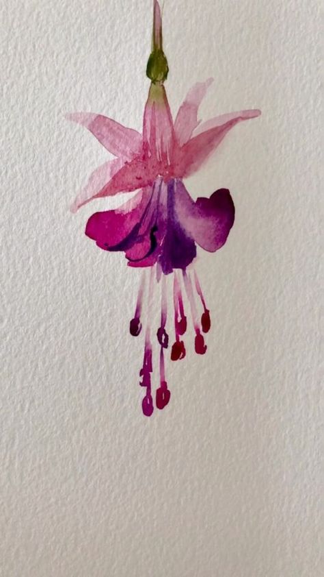 Easy freehand fuchsia. Love the flower and the colour both… | Instagram Abstract Watercolors, Watercolor Flowers Tutorial, Diy Watercolor Painting, Watercolor Painting Techniques, Watercolor Flower Art, Watercolor Art Lessons, Watercolor Paintings Tutorials, Watercolor Flowers Paintings, Flower Art Painting