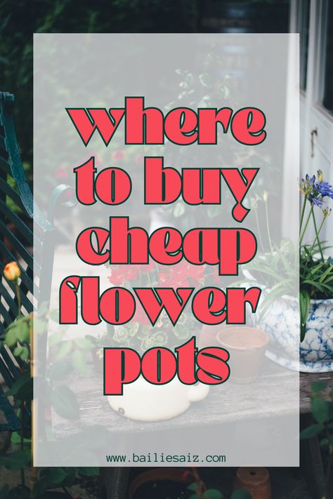 Looking for cheap flower pots? I curated a list of my favorite places to get cheap flower pots. I think we forget that a lot of places we normally shop have cheap flower pots, and maybe a couple places you wouldn't think to look for those extra cheap flower pot bargains. Homemade Flower Pots, Cheap Planter Ideas, Outdoor Flower Pot Ideas, Cheap Plant Pots, Flower Pots Ideas, Cheap Planters, Budget Flowers, Diy Flower Pot, Cheap Flower Pots