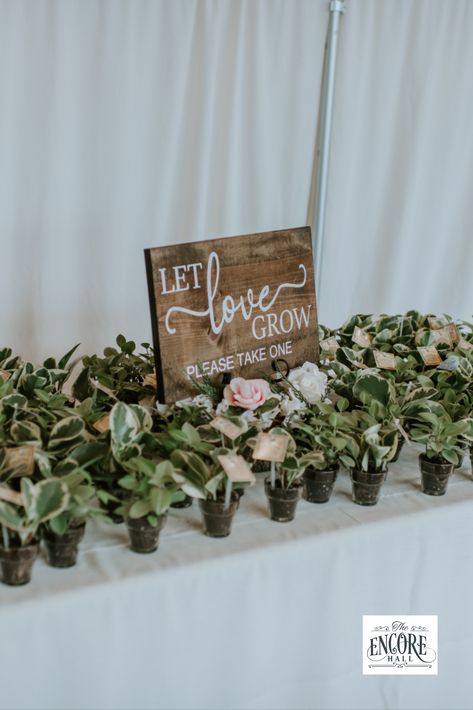 Wedding Favors For Guests Plants, Plant A Tree Wedding Favor, Plants For Wedding Favors, Wedding Gifts For Guests Plants, Wedding Favor Succulent, Wedding Favor Decor, Mini Plant Wedding Favors, Plant Propagation Wedding Favor, Plant Themed Party Favors