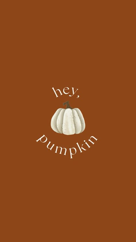 Pumpkin Fall Wallpaper, Pumpkin Phone Wallpaper, Fall Backgrounds Iphone, Autumn Phone Wallpaper, Hey Pumpkin, Halloween Wallpaper Iphone Backgrounds, Pumpkin Wallpaper, Halloween Wallpaper Cute, Background Backdrop