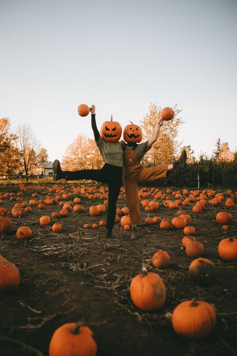 Pumpkin Head Photoshoot at the pumpkin patch Ghost Photoshoot Pumpkin Patch, Fall Photos Pumpkin Patch, Pumpkin Pics With Friends, Punkin Head Pictures, Halloween Costume Pumpkin Head, Pumpkin Mask Photoshoot, Fall Senior Pictures Pumpkin Patch, Pumpkin Patch Group Pictures, Haunted Pumpkin Patch Ideas