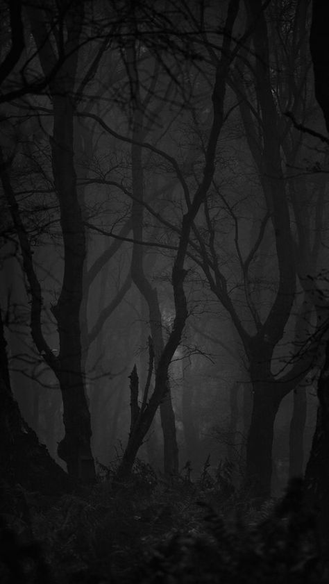 Dark Backgrounds Aesthetic, Dark Gothic Wallpaper, Shadows Aesthetic, Shadow Wallpaper, Dark Weather, Dark Naturalism, Creepy Backgrounds, Dark Windows, Dark Black Wallpaper