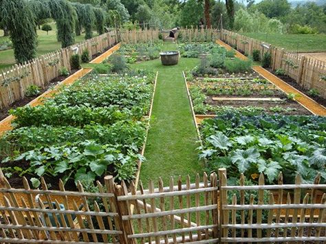 My dream garden. Of course the beds need to be raised. 😂 Different Types Of Plants, Plantarea Legumelor, Potager Garden, Backyard Vegetable Gardens, Permaculture Design, Garden Design Layout, Veg Garden, Secret Gardens, Have Inspiration