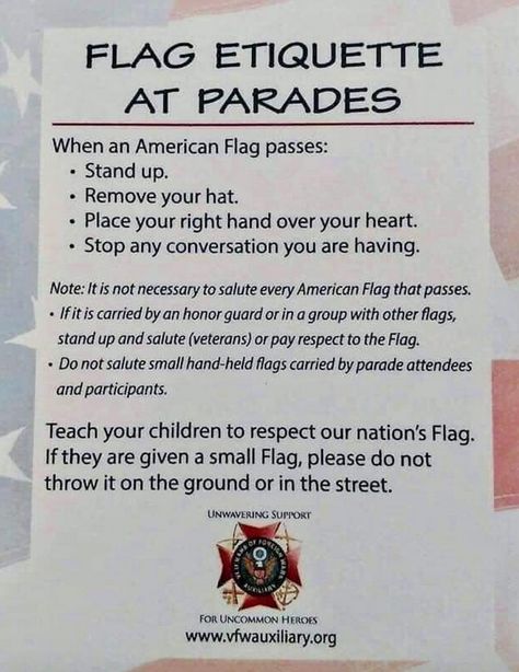 Tri Cities On A Dime: DID YOU KNOW THIS ABOUT FLAG EDIQUETTE AT PARADES?... Flag Etiquette, American Heritage Girls, Honor Guard, Small Flags, Simple Sentences, Flag Day, Tri Cities, Cub Scouts, The American Flag