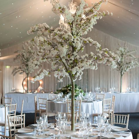 White blossom trees are surrounded by candles for a stunning wedding table centrepiece in the Pavilion at this North West wedding venue Blossom Tree Wedding, White Blossom Tree, Combermere Abbey, Tree Branch Centerpieces, Wedding Tree Decorations, Reception Florals, Beach Wedding White, Flowering Branches, Wisteria Tree