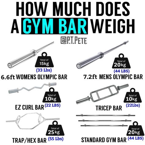 Peter O Reilly FRCms P.T. 🇮🇪 on Instagram: “The Different Types of Barbell! Tag a friend who could use this guide! - Follow @P.T.Pete for daily fitness/nutrition education📚 - Most…” Splits Exercises, Gym Advice, Fitness Education, Body Maintenance, Study Info, Workouts Routines, Exercise Regimen, Gym Bar, Weight Bar