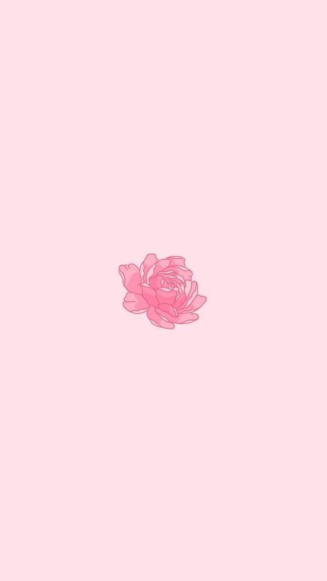 Flower Background Drawing, Peony Aesthetic Wallpaper, Peony Iphone Wallpaper, Peony Background, Peonies Wallpaper Iphone, Pink Flowers Aesthetic Wallpaper, Peony Flower Wallpaper Iphone, Peony Flower Wallpaper, Pink Rose Wallpaper