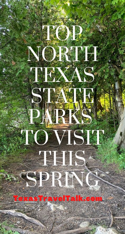 Tyler State Park Texas, State Parks In Texas, Dinosaur Valley State Park Texas, Shes Like Texas, Hiking In Texas, Dinosaur Valley State Park, Camping In Texas, Texas State Parks, Texas Adventure