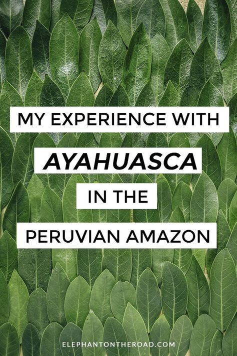 Travel To Peru, Peruvian Amazon, Millennial Fashion, Post Grad Life, Blog Names, Peru Travel, Amazon Rainforest, Survival Guide, Financial Advice