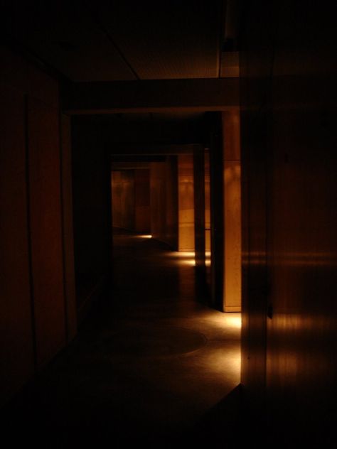 Long dark hallway Dark Hallway Aesthetic, Long Dark Hallway, Hallway Dark, End Of Hallway, Dark Hallways, Dark Staircase, Dark Comfort, Hallway Pictures, Hallway Lamp