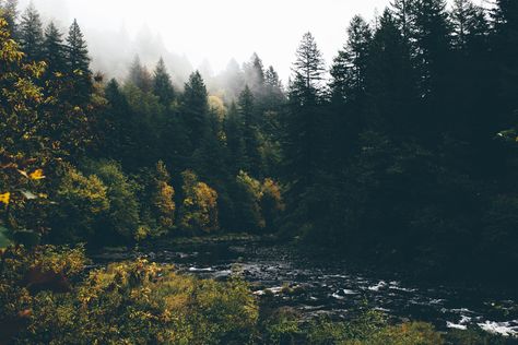 Fall on the river by Nick Carnera - Photo 124812821 - 500px Best Nature Wallpapers, Best Nature, Adventure Inspiration, Wallpapers For Desktop, Nature Wallpapers, Forest Wallpaper, Outdoor Inspirations, Scenic Beauty, High Quality Wallpapers