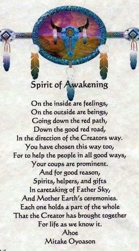 Native American Quotes Wisdom, Native American Beliefs, Native Quotes, American Indian Quotes, Native American Prayers, Native American Spirituality, American Quotes, Indian Quotes, Native American Wisdom