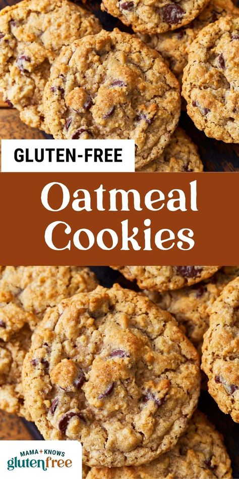 These gluten-free oatmeal cookies are soft and chewy on the inside with crispy edges and take just 20 minutes from start to finish! Flourless Gluten Free Cookies, Easy Gluten Free Cookies, Oatmeal Cookies Gluten Free, Gluten Free Dairy Free Cookies, Instant Oatmeal Cookies, Mama Knows Gluten Free, Gluten Free Oatmeal Raisin Cookies, Cookies 2023, Gluten Free Cookies Easy