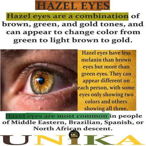 Hazel eyes These eyes are a combination of brown, green, and gold tones, and can appear to change color from green to light brown to gold. Hazel eyes have less melanin than brown eyes but more than green eyes. They can appear different on each person, with some eyes only showing two colors and others showing all three. Hazel eyes are most common in people of Middle Eastern, Brazilian, Spanish, or North African descent. Iridology Reading, Green Hazel Eyes, Hazel Brown Eyes, Hazel Green Eyes, Baby Witch, Hazel Eyes, Brown Eyes, Middle Eastern, Green Eyes