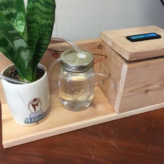 Desk Flowers, Plant Watering System, Automatic Watering System, Plant Watering, Watering System, Bottom Of The Bottle, Hygrometer, Beauty Skin Care Routine, How To Make Your