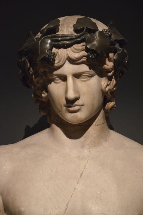 Marble bust of Antinous, on loan from the Hermitage Museum… | Flickr Antinous Statues, Expressive Sculpture, Roman Egypt, The Hermitage Museum, Greek Bust, Emperor Hadrian, Beautiful Statues, Greek Beauty, Egyptian Deity